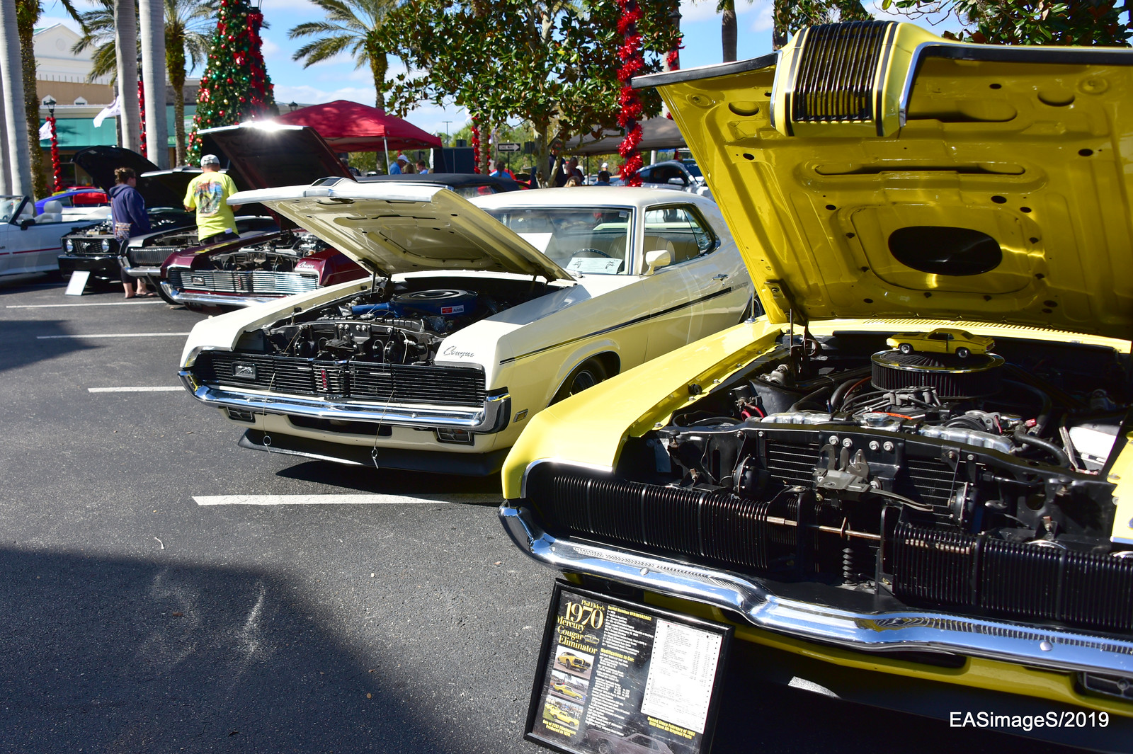 Mustang & Ford Show