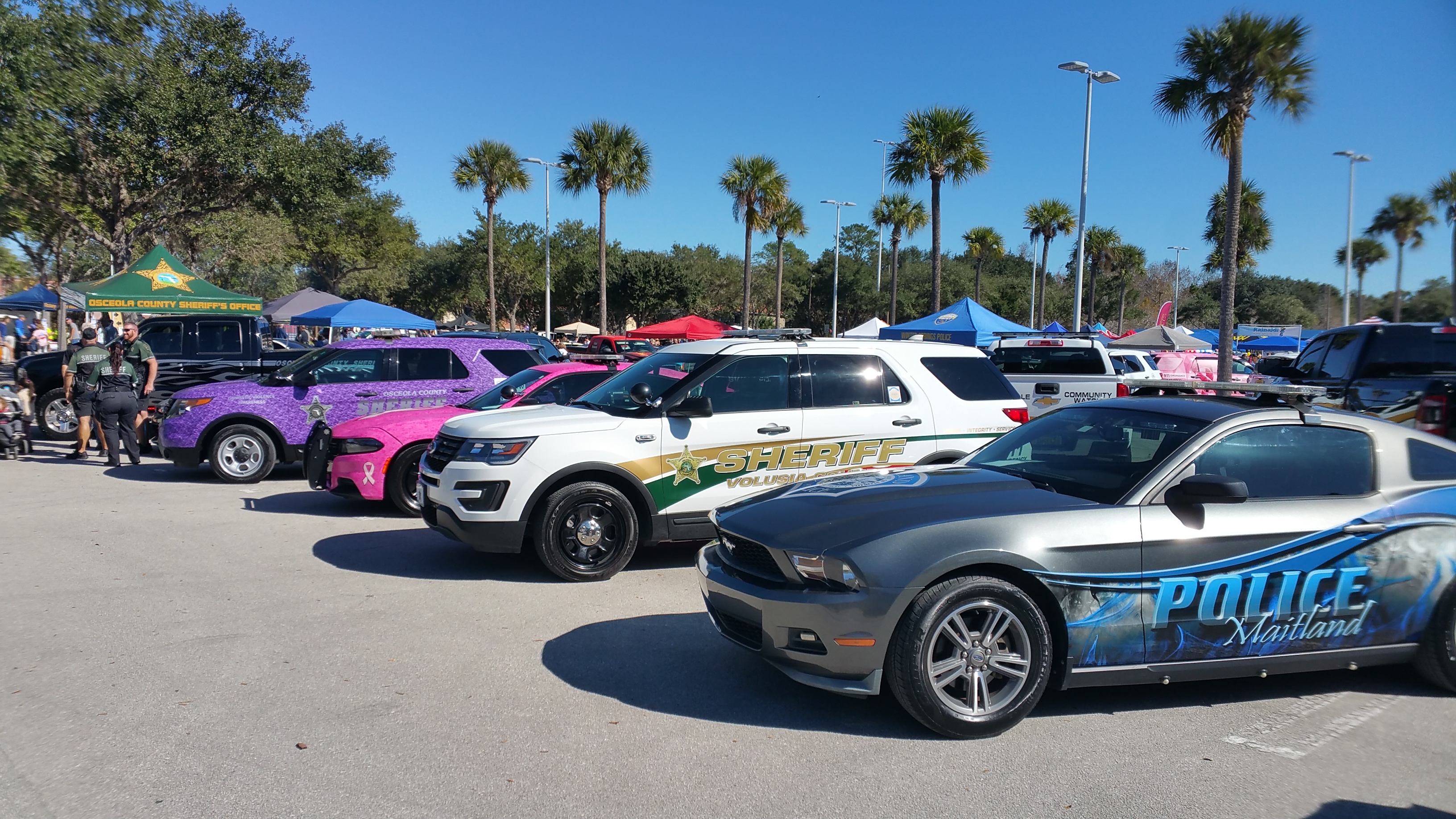 Cops Cars Show