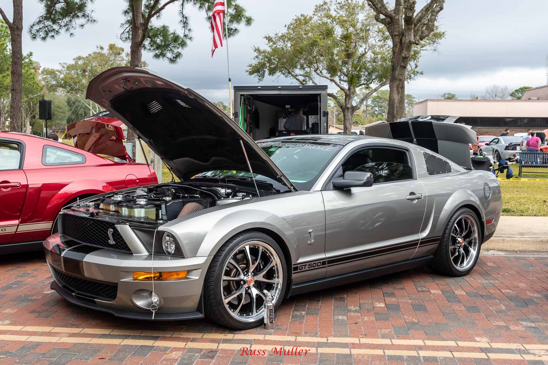 Mustang Roundup 2021