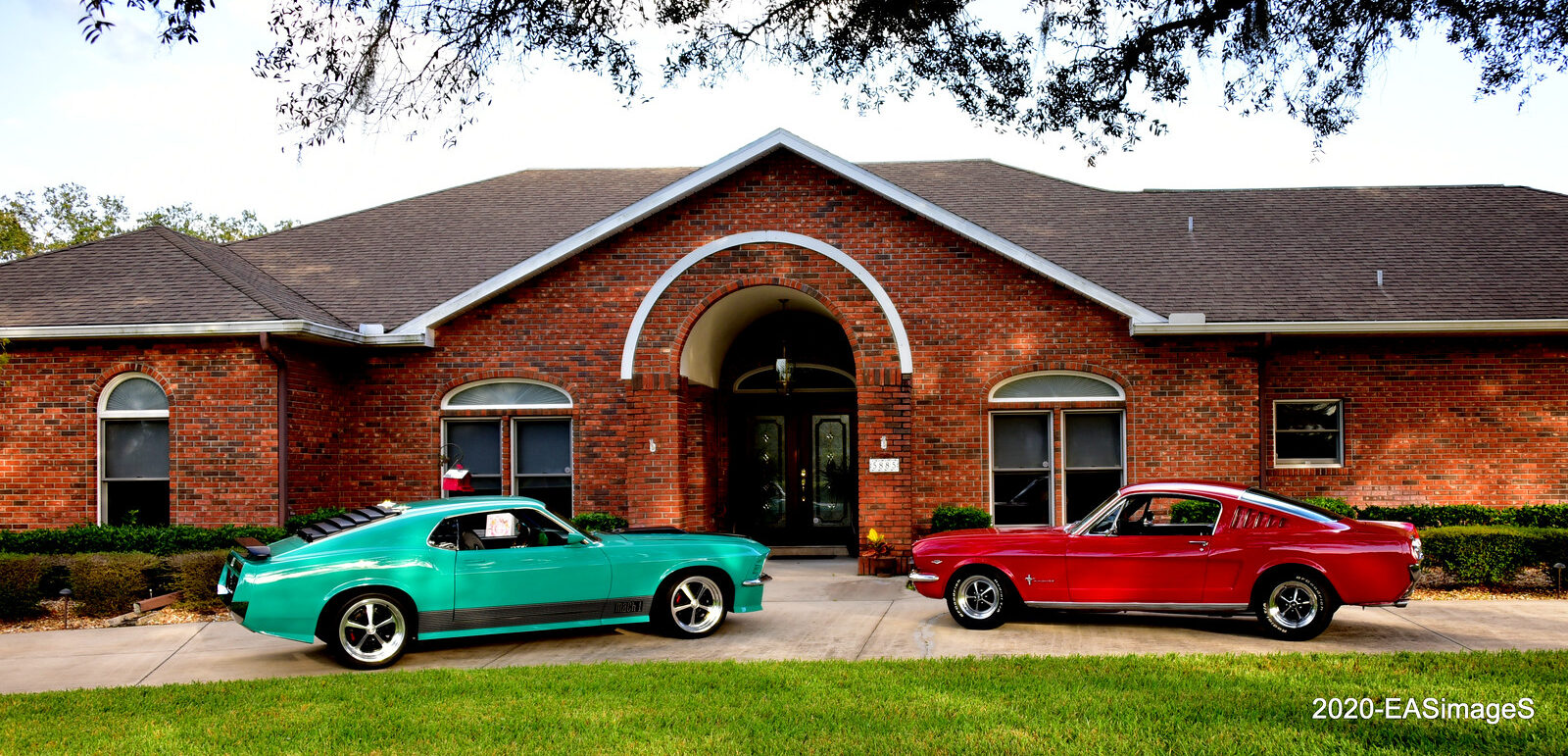Pair Mustangs