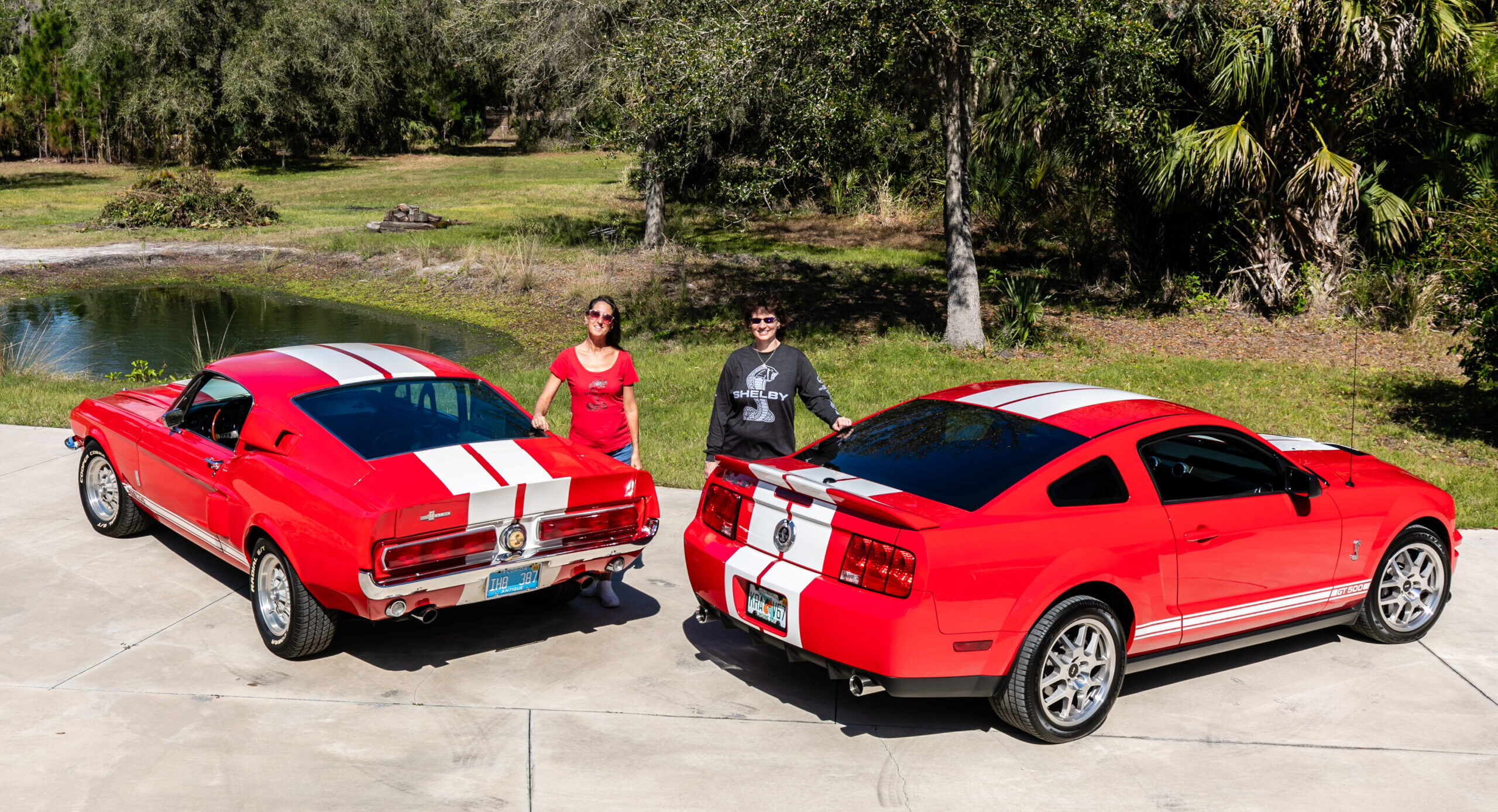 Mustang Shelby