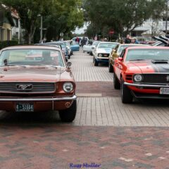 Mustang & Ford Roundup Event Coverage