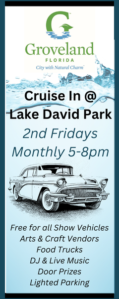 car show in groveland florida on november 14 car show in groveland florida on november 14