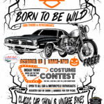 car show in wesley chapel florida on october 18