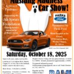 mustang car show in wesley chapel florida on october 18