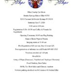 car show in bonita springs florida on january 17