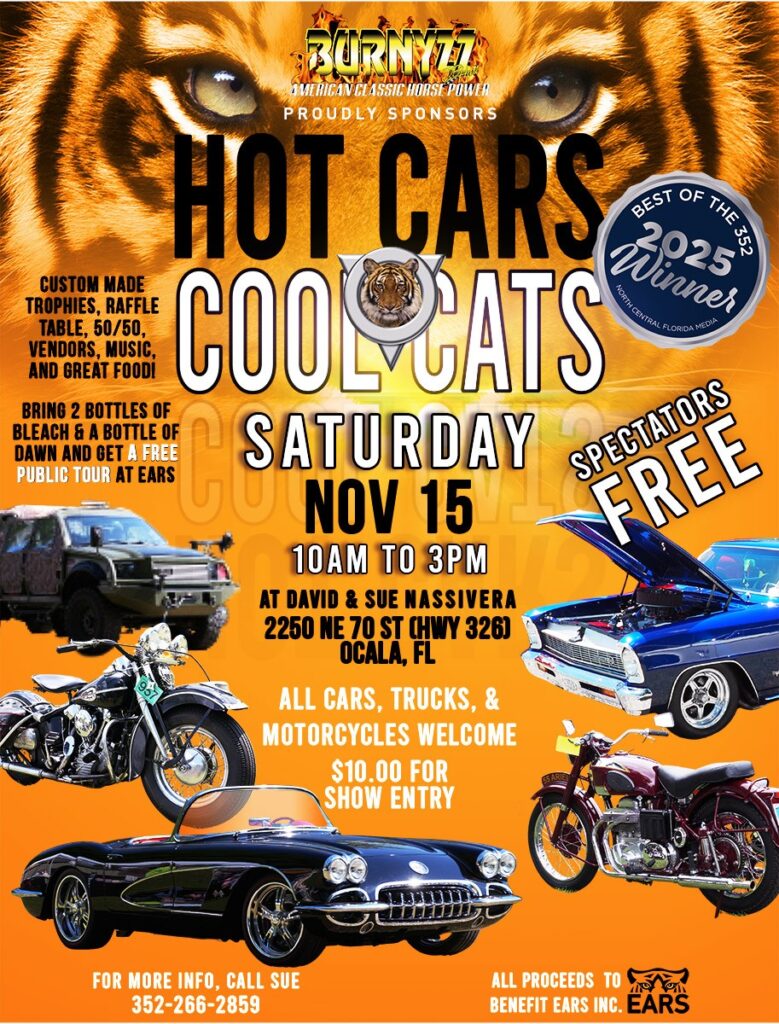 car show in ocala florida on november 15