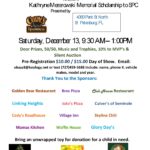 car show in st petersburg florida on december 13