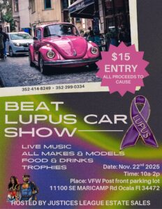 car show in ocala florida on november 22