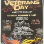 corvette car show in wimauma florida on november 8
