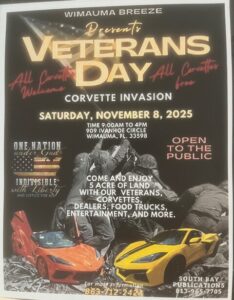 corvette car show in wimauma florida on november 8