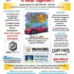 corvette car show in venice florida on march 15