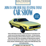 car show in fort myers florida on november 20