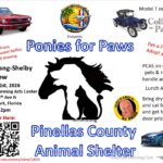 ford mustang car show in pinellas park florida on march 21