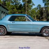 The Original Pony Car