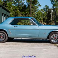 The Original Pony Car