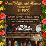 car show in palm harbor florida on may 10