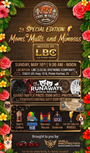 car show in palm harbor florida on may 10