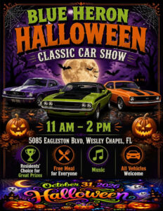 car show in wesley chapel florid aon october 31
