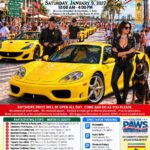 car show in naples florida on january 9
