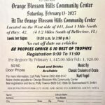 car show in summerfield florida on february 13